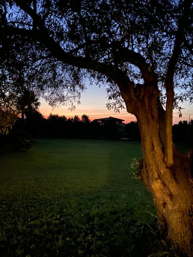 Villa Sarda Assemini Eksteriør billede